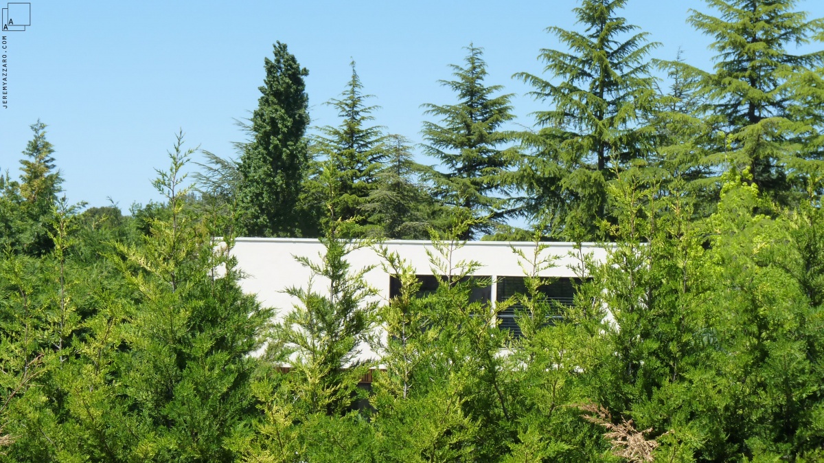 Conception dune maison contemporaine   travers champs  : insertion-paysage-maison-contemporaine-provence-azzaro-architecte-min